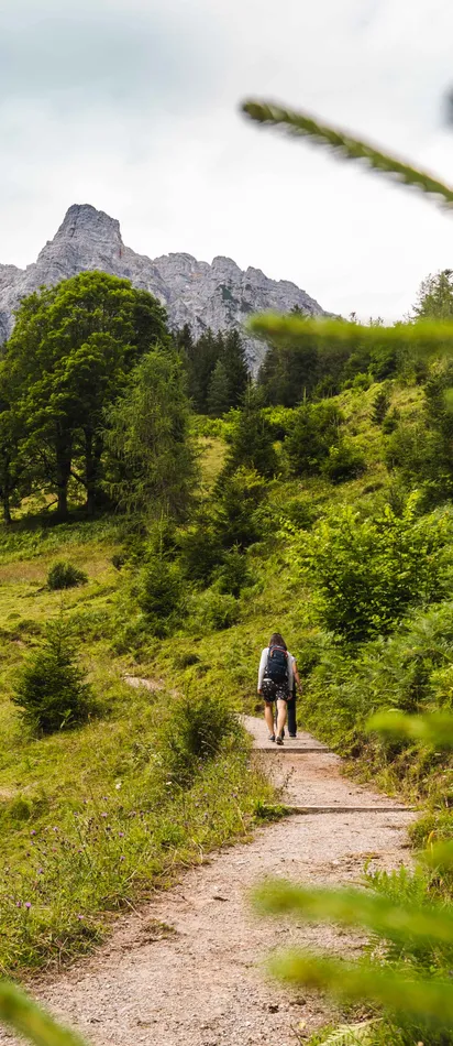 Wanderer auf einem Pfad durch grüne Alpenlandschaft mit Bergpanorama