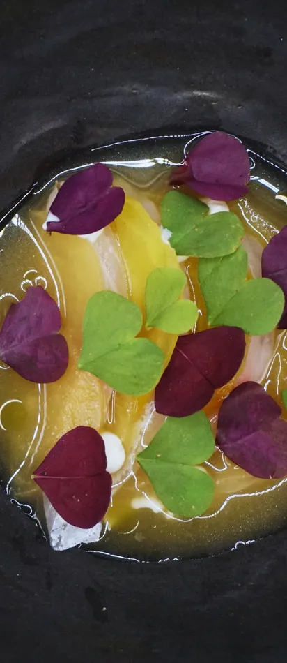 Gourmetgericht Namaycush Fisch mit Chioggia Rübe