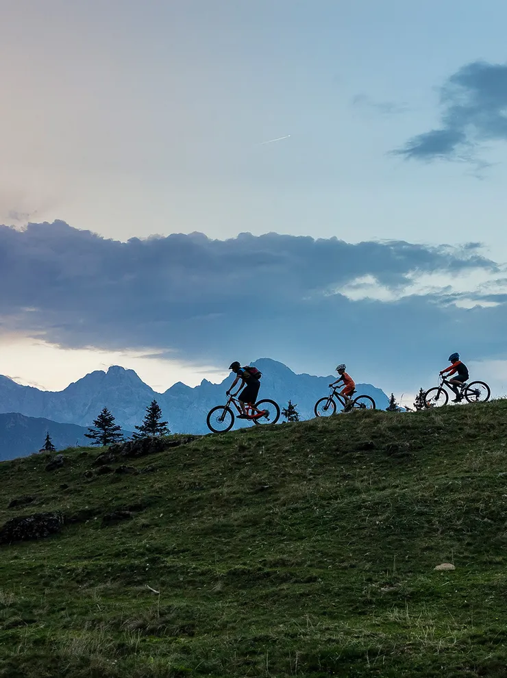 Griessner Almen Biken im Salzburgerland