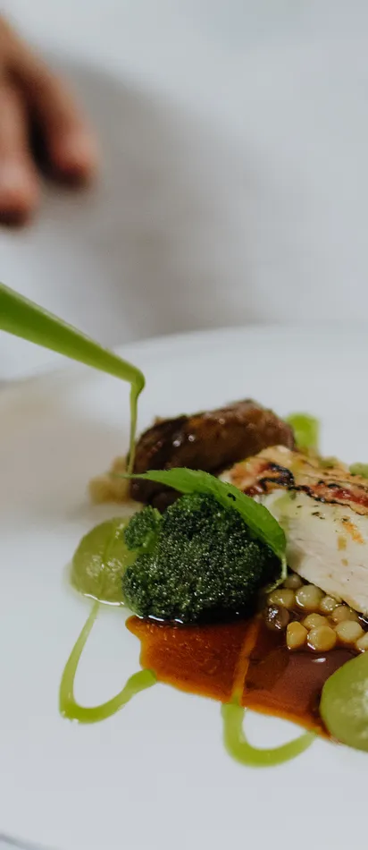 Gourmet dish