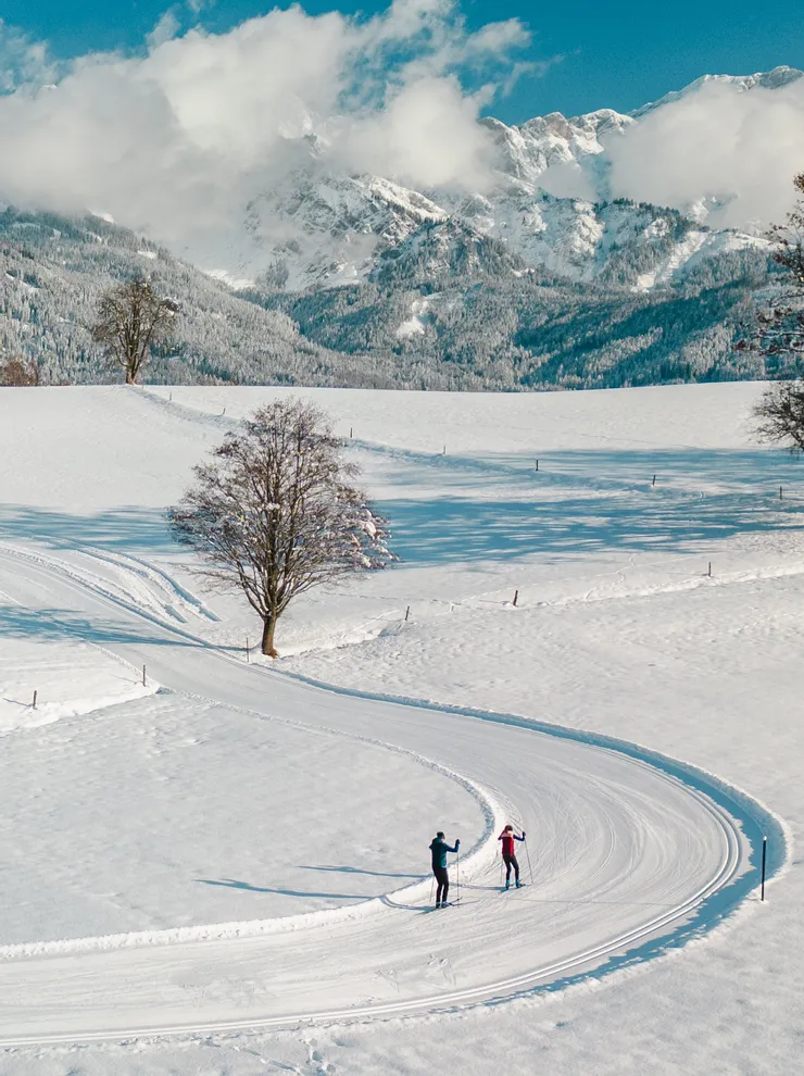 Skiers on a snowy cross-country trail in alpine landscape with snow-covered mountains