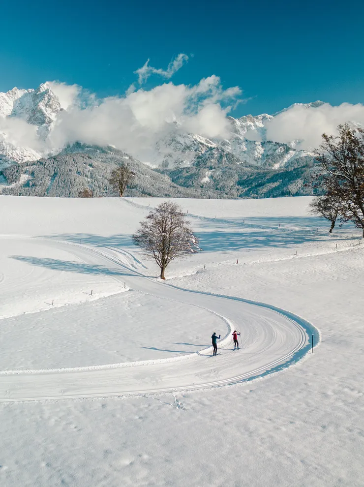 Skilangläufer auf verschneiter Loipe vor schneebedeckten Alpen
