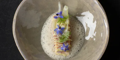 Gourmet-Pastagericht mit Schaum, essbaren Blüten und Fenchel auf Keramikteller