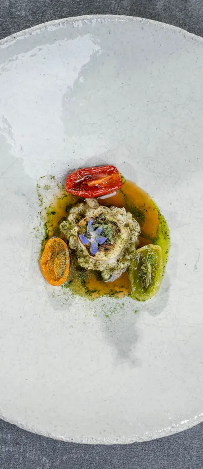 Gourmet dish with creamy spread, tomatoes, and herb sauce on white plate