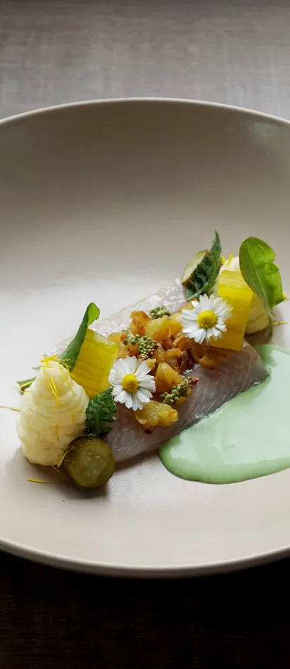 Gourmetgericht mit Fischfilet, essbaren Blumen, Kartoffelpüree und grüner Sauce