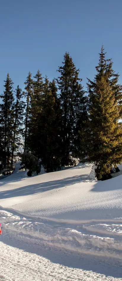 Zwei Frauen wandern auf einem verschneiten Winterweg durch die Alpen bei sonnigem Wetter