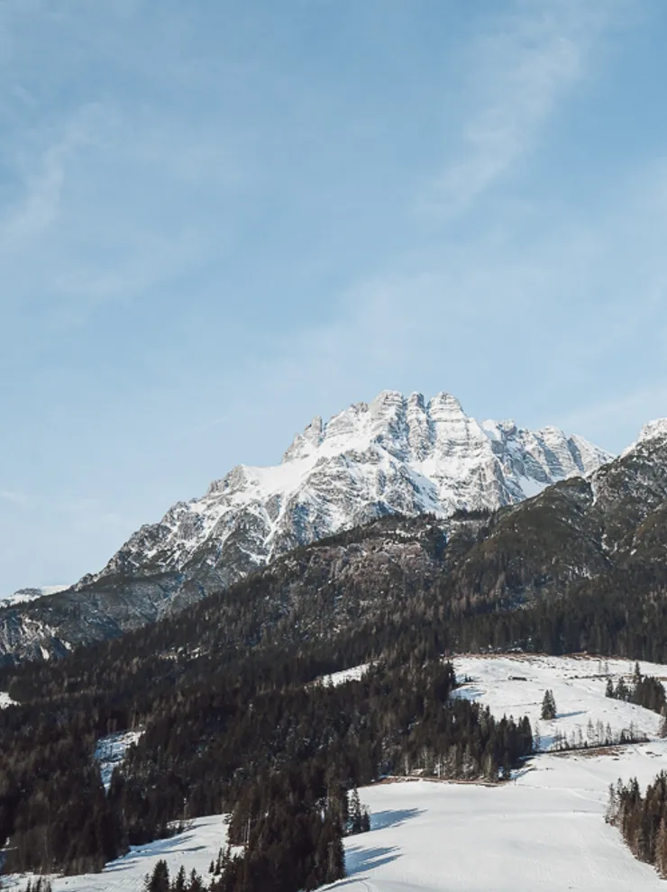 Snow-covered alpine mountain range with pine forest under clear blue sky
