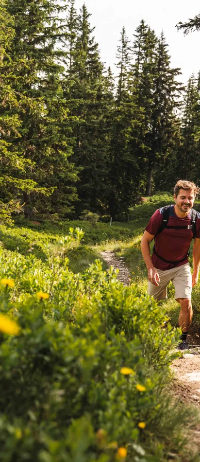 Smiling hikers trekking uphill through a lush green mountain forest trail