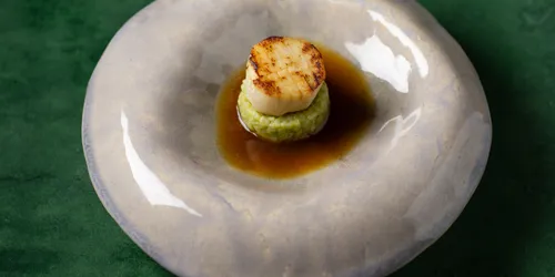 Gebratene Jakobsmuschel auf Erbsenrisotto mit brauner Sauce in Keramikteller auf grünem Hintergrund