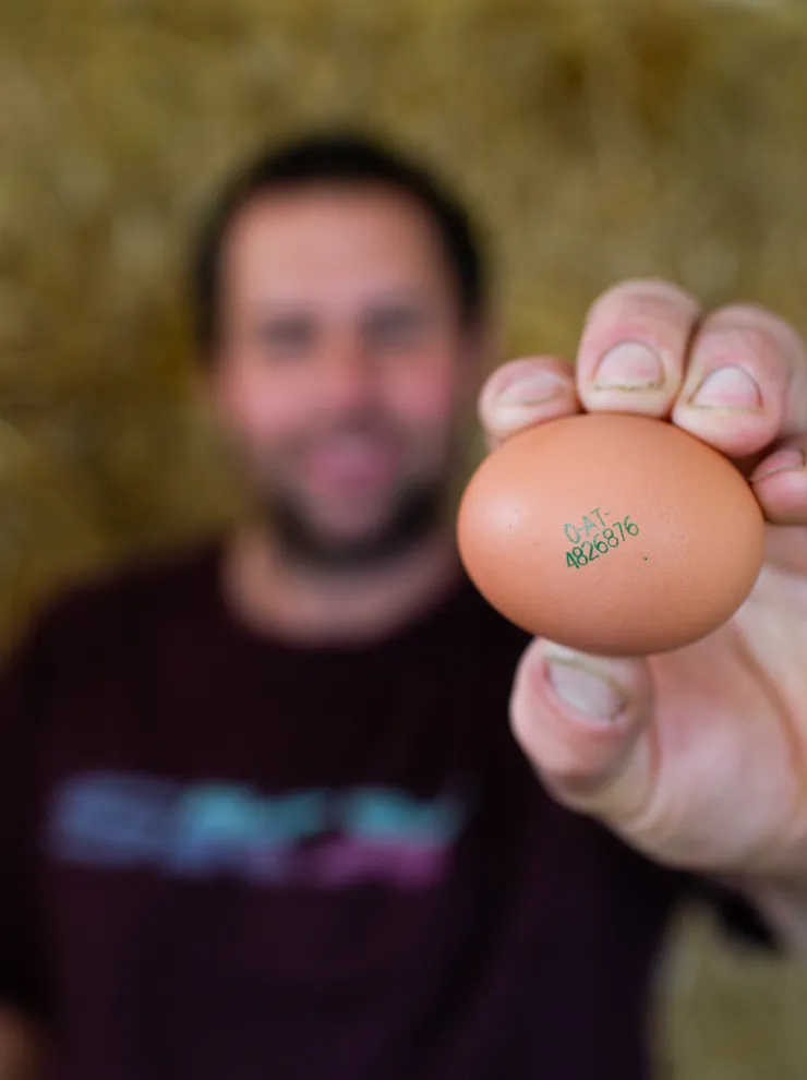 Farmer holding up a brown egg with printed code in front of a straw background