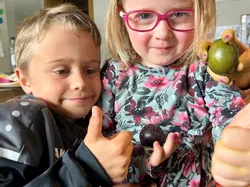 Lächelnde Kinder halten Pflaumen und zeigen Daumen hoch in gemütlicher Umgebung