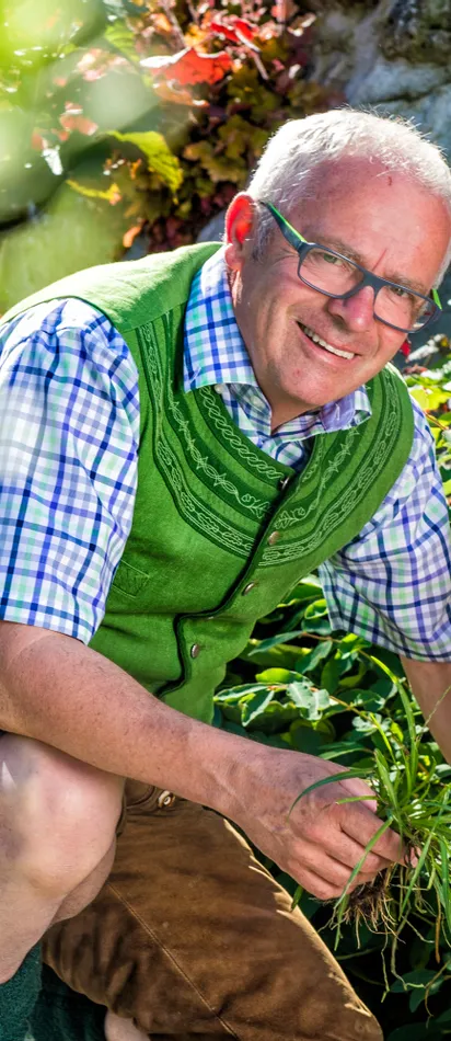 Älterer Mann in Tracht gärtnert neben rosa Lupinen im sonnigen Garten