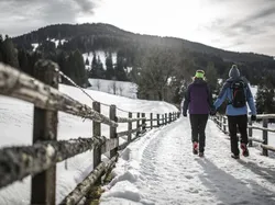 Paar wandert auf verschneitem Bergweg mit Holzzaun und Waldblick